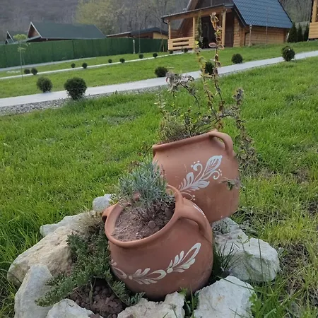 Dom wakacyjny Sicevacka Bajka Nisz