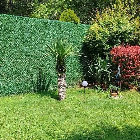 Sicevacka Bajka Case de vacanță