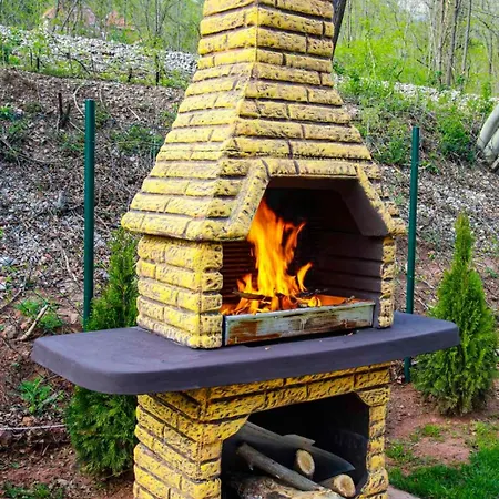 Sicevacka Bajka Case de vacanță