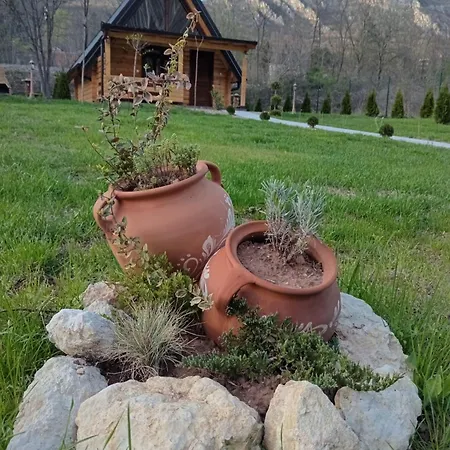 Sicevacka Bajka Holiday home *