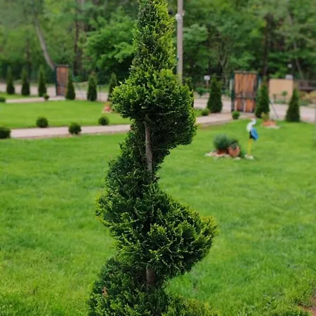 Semesterbostad Sicevacka Bajka Ni