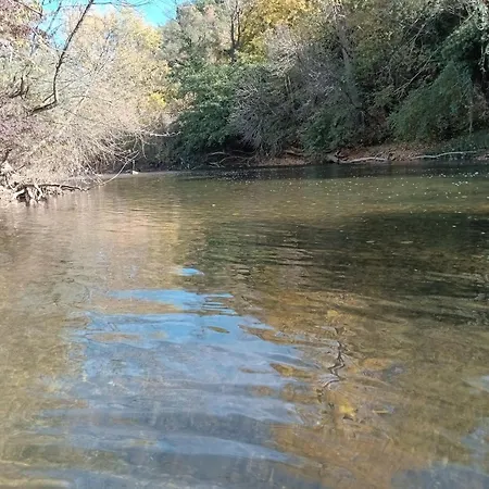 Sicevacka Bajka Ni